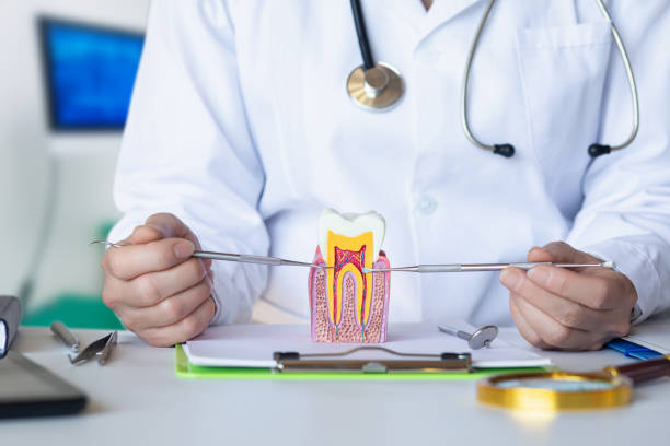 Best Emergency TMJ Treatment in West University Place, TX